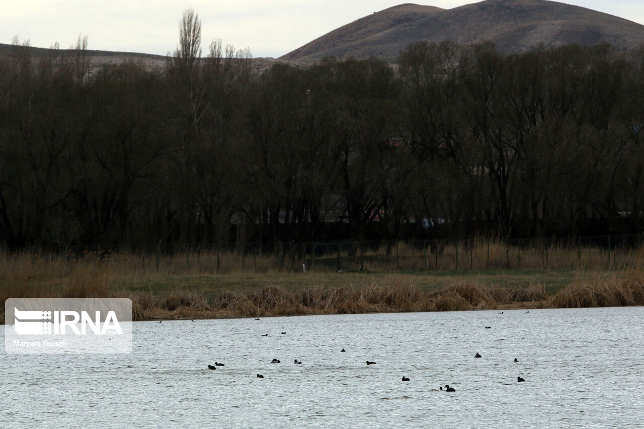 حفظ تالابها نیازمند همکاری بین بخشی ارگانهای مختلف است حفظ تالابها نیازمند همکاری بین بخشی ارگانهای مختلف است