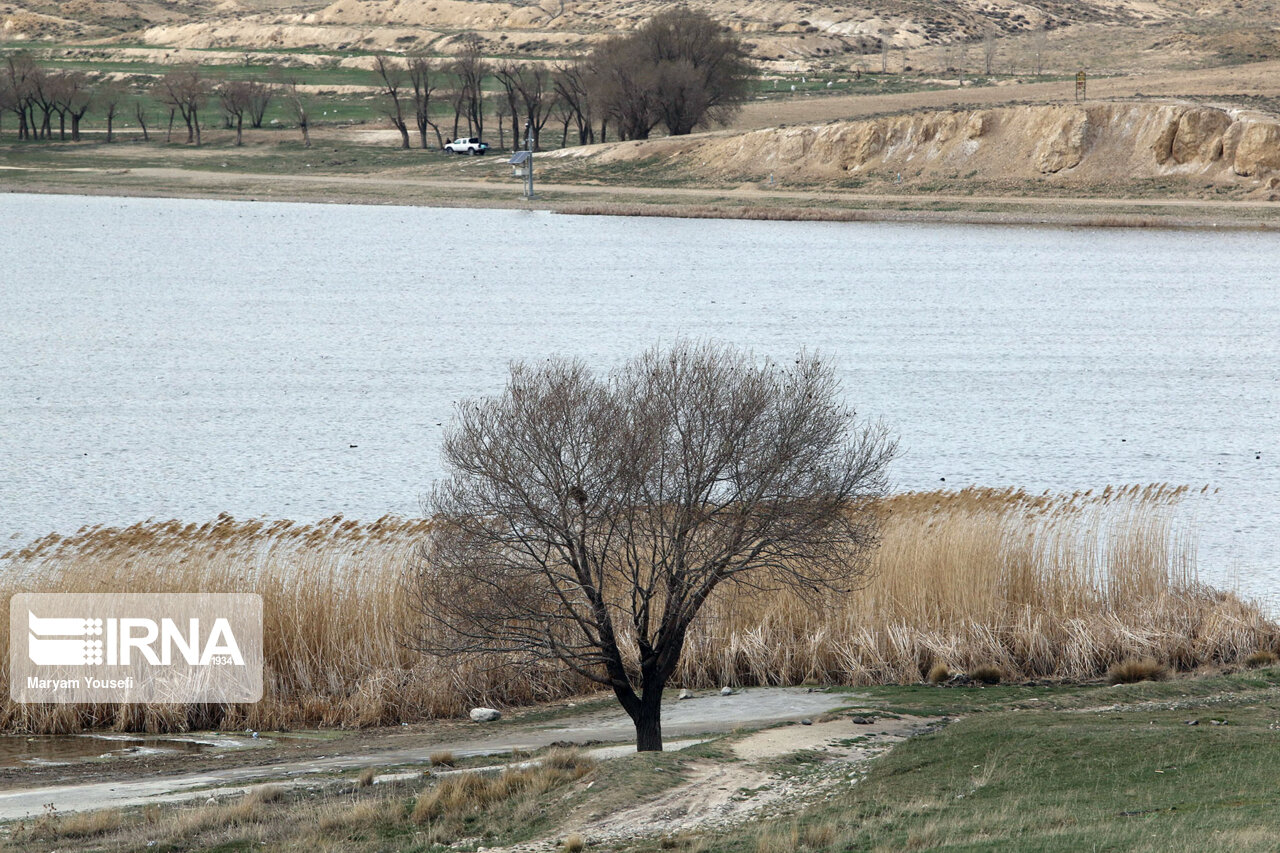 مدیرکل حفاظت محیط زیست آذربایجان‌شرقی: شرایط تالاب‌های استان نامناسب است