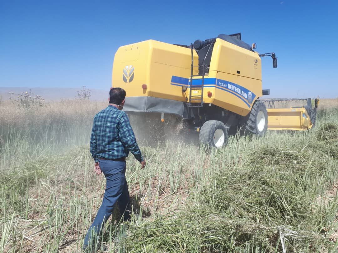 خبرهای کوتاه کشاورزی از استان فارس  خبرهای کوتاه کشاورزی از استان فارس