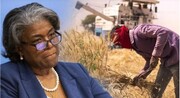 آمریکا: هند در تصمیم خود برای محدود کردن صادارت گندم تجدید نظر کند