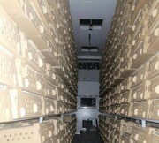 محموله ۲۵ هزار قطعه ای جوجه گوشتی در مریوان کشف و ضبط شد
