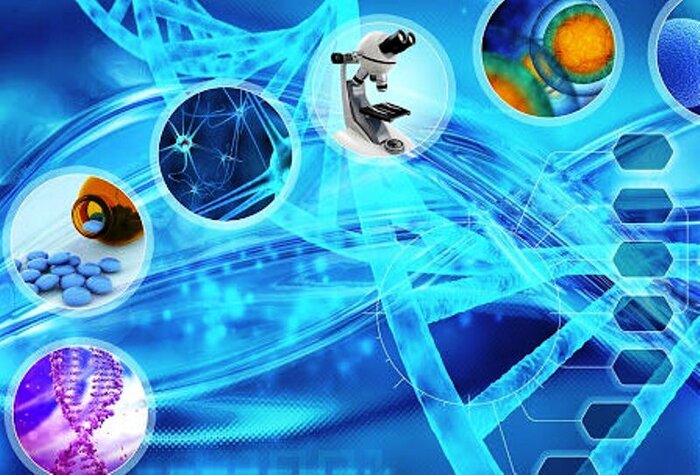 فنبازار علوم انسانی در دانشگاه تهران فعال میشود 3