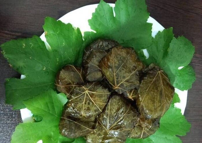 بیرغبتی باغداران خلیلآباد خراسان رضوی به برداشت برگ تاکستانها