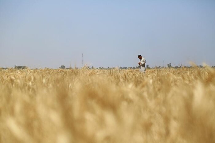 اهمیت حذف ارز ترجیحی در ایران؛ نگاهی به مساله امنیت غذایی در عراق و اقلیم کردستان