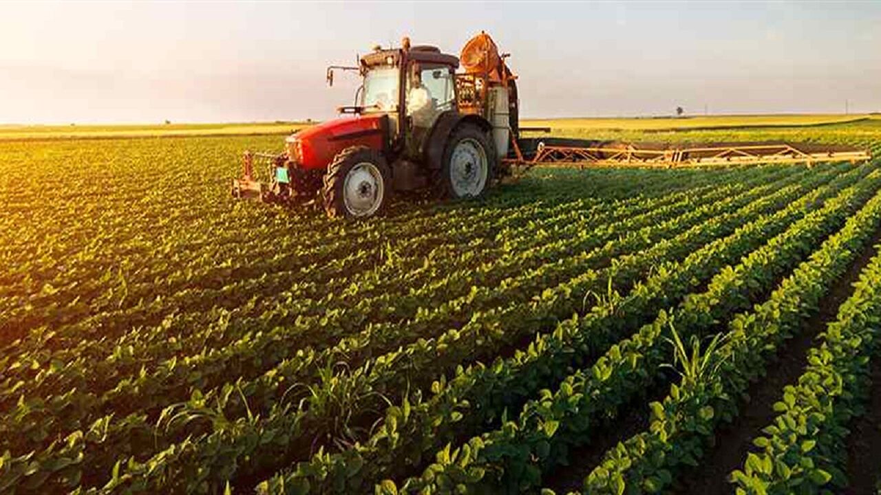 Иран среди производителей 20 важных сельхозпродукций мира
