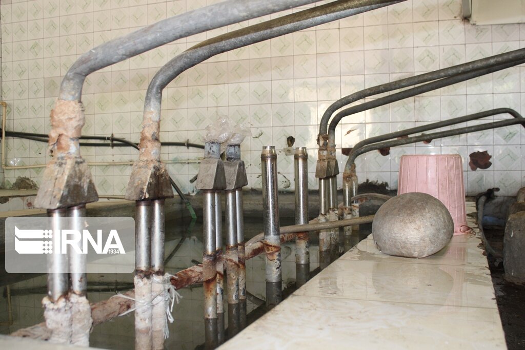 زنان روستایی مرودشت زنجیره ارزش گیاهان دارویی ایجاد کردند زنان روستایی مرودشت زنجیره ارزش گیاهان دارویی ایجاد کردند