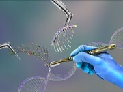 İran CRISPR gen düzenlemesi teknolojisinde gelişmiş ülkeler düzeyinde