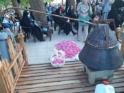 بازدید بیش از ۱۸۰ هزار نفر از جشنواره گلاب‌گیری کرج 