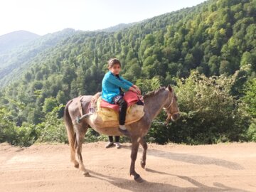 جشنواره کوچ بهاره دامداران عشایر رضوانشهر