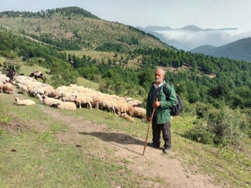 جشنواره کوچ بهاره دامداران عشایر رضوانشهر