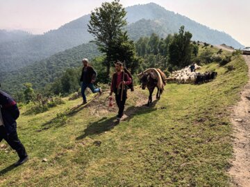 جشنواره کوچ بهاره دامداران عشایر رضوانشهر