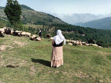 جشنواره کوچ بهاره دامداران عشایر رضوانشهر