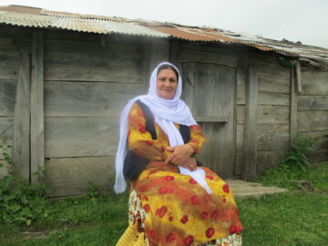 جشنواره کوچ بهاره دامداران عشایر رضوانشهر