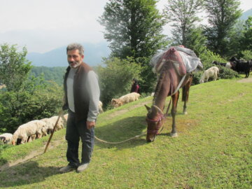 جشنواره کوچ بهاره دامداران عشایر رضوانشهر