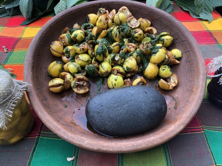 راههای نرفته مازندران برای برپایی جشنوارههای کشاورزی