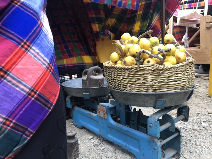 راههای نرفته مازندران برای برپایی جشنوارههای کشاورزی