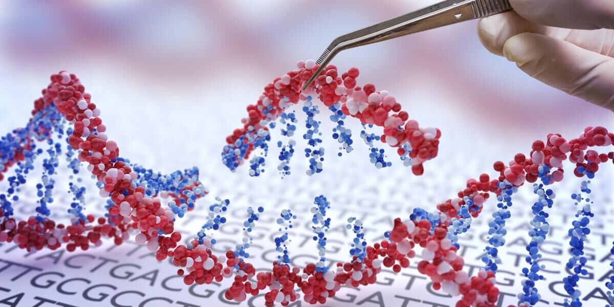 Irán avanza en pie de igualdad con los países desarrollados en la tecnología de edición de genes “Crisper”