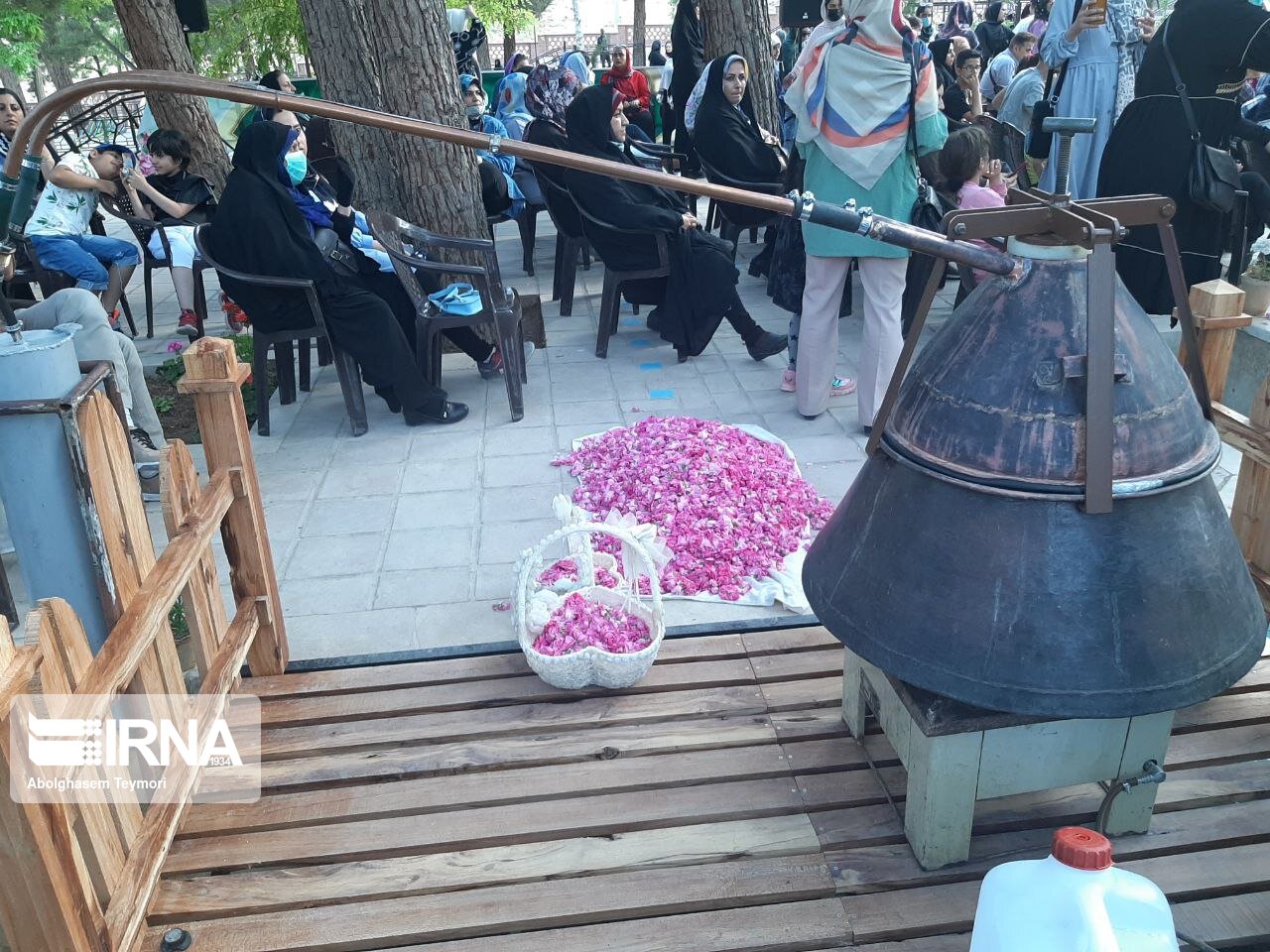 بازدید بیش از ۱۸۰ هزار نفر از جشنواره گلاب‌گیری کرج 