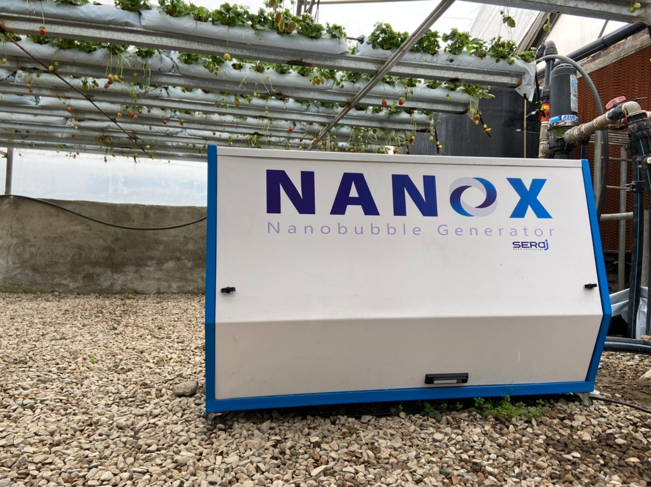 ازدیاد ۲۰ درصدی برداشت توتفرنگی با دستگاه نانوحبابساز ایرانی