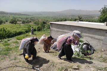 نخستین تور گردشگری در مزرعه گل محمدی بانه