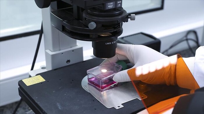 آبله میمونی کشنده است ؟ 1 آبله میمونی کشنده نیست