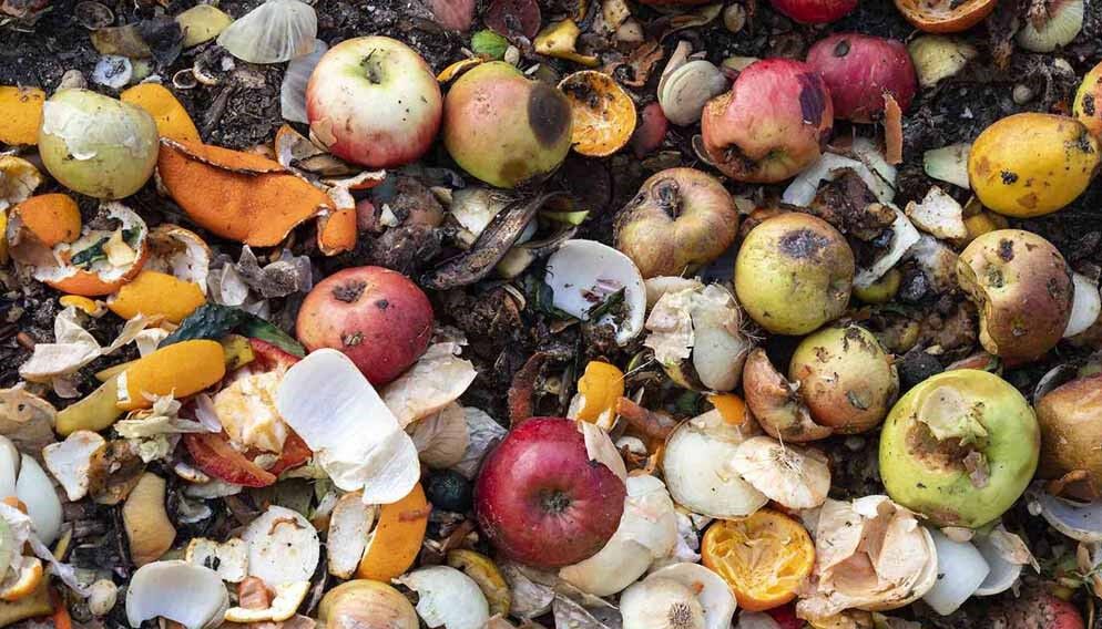 غفلت از نانو؛ ضایعات 30 درصدی کشاورزی و هدررفت 20 میلیارد مکعب آب