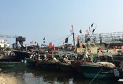 ماهیگیری غیرقانونی چینی ها با سیستم ردیابی دریایی رصد می شود