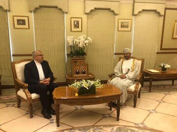 Le ministre iranien du Pétrole rencontre le ministre omanais des Affaires étrangères à Mascate