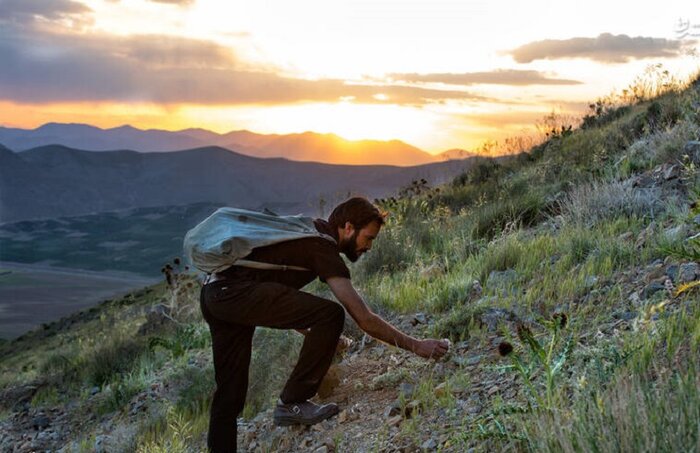 استکانی از طراوت گلهای تازه دم