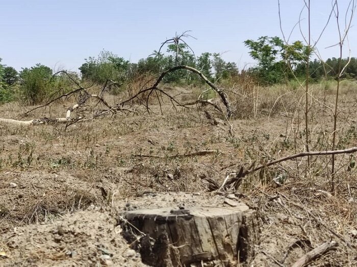 شوکتآباد بیرجند در انتظار شکوهی دیگر