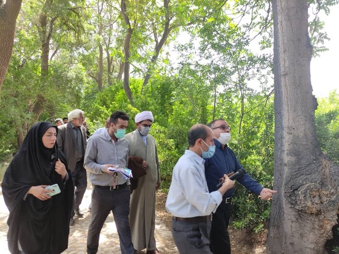 شوکتآباد بیرجند در انتظار شکوهی دیگر