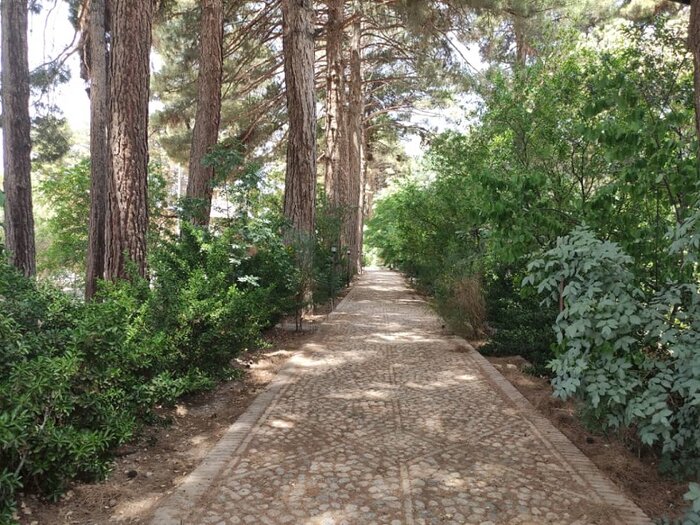 شوکتآباد بیرجند در انتظار شکوهی دیگر