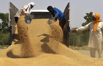 بلاروس در قبال دسترسی به دریای بالتیک به ترانزیت غلات از اوکراین مجوز می‌دهد