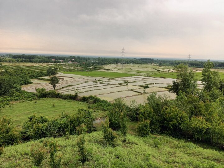 خرد شدن اراضی کشاورزی گلستان، تهدیدی برای امنیت غذایی 2