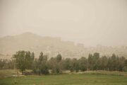 گرد و خاک هوای سه شهر استان مرکزی را ناسالم کرد
