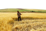 Iran: la nature printanière du district Moran de la ville de Garmi au nord-ouest