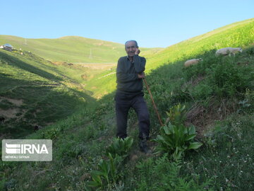 Natural beauties of Rezvanshahr