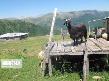 Natural beauties of Rezvanshahr