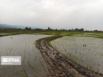 Natural beauties of Rezvanshahr