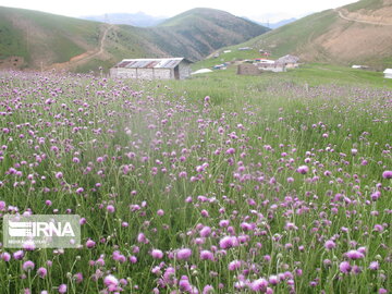 Natural beauties of Rezvanshahr