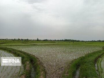 Natural beauties of Rezvanshahr