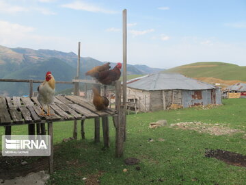 Natural beauties of Rezvanshahr