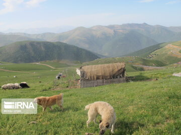 Natural beauties of Rezvanshahr