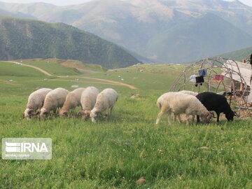 Natural beauties of Rezvanshahr