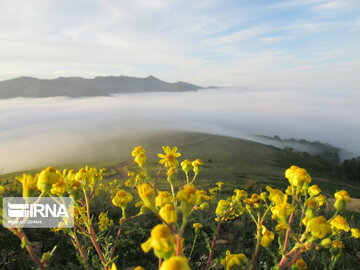 Natural beauties of Rezvanshahr