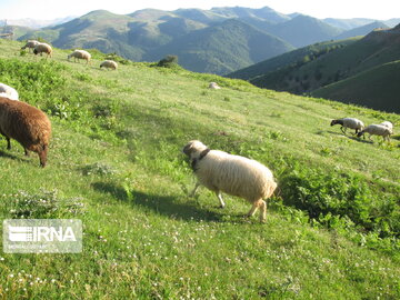 Natural beauties of Rezvanshahr