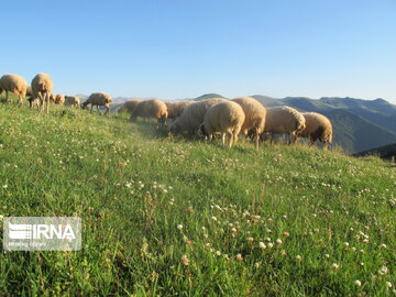 Natural beauties of Rezvanshahr