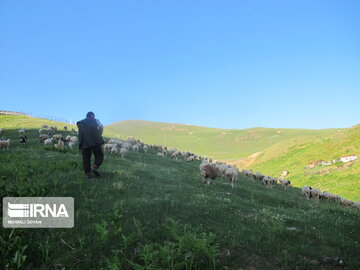 Natural beauties of Rezvanshahr