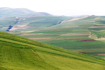 Nature printanière du district Moran de la ville de Garmi au nord-ouest de l’Iran