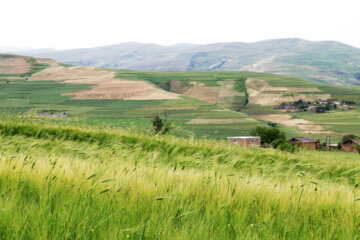 Nature printanière du district Moran de la ville de Garmi au nord-ouest de l’Iran